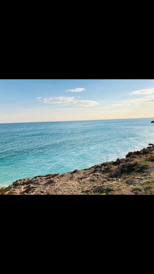 Grand Studio Bord De Mer Plus Piscine Sete Bagian luar foto